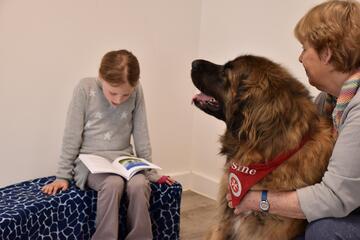 ein Kind liest einem Hund im Leseeinsatz vor