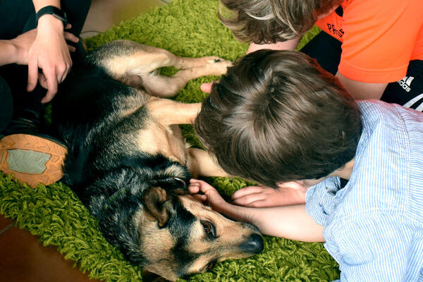 Besuchshund Michel kommt regelmäßig als Teil des tierpädagogischen Ansatzes vorbei. Auch scheue Kinder tauen bei ihm auf.