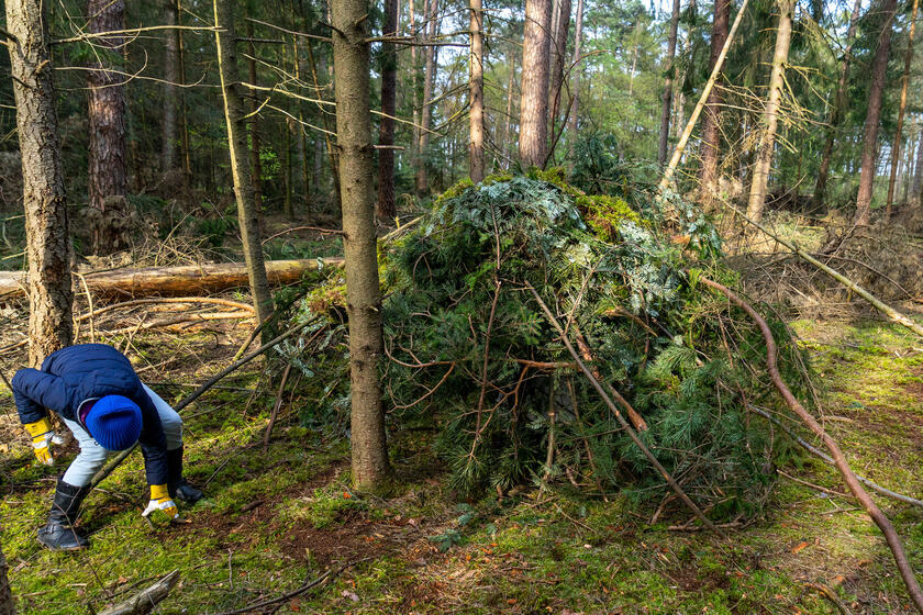 In diesem Unterstand kann man geschützt eine Nacht im Wald verbringen, ohne Angst haben zu müssen.