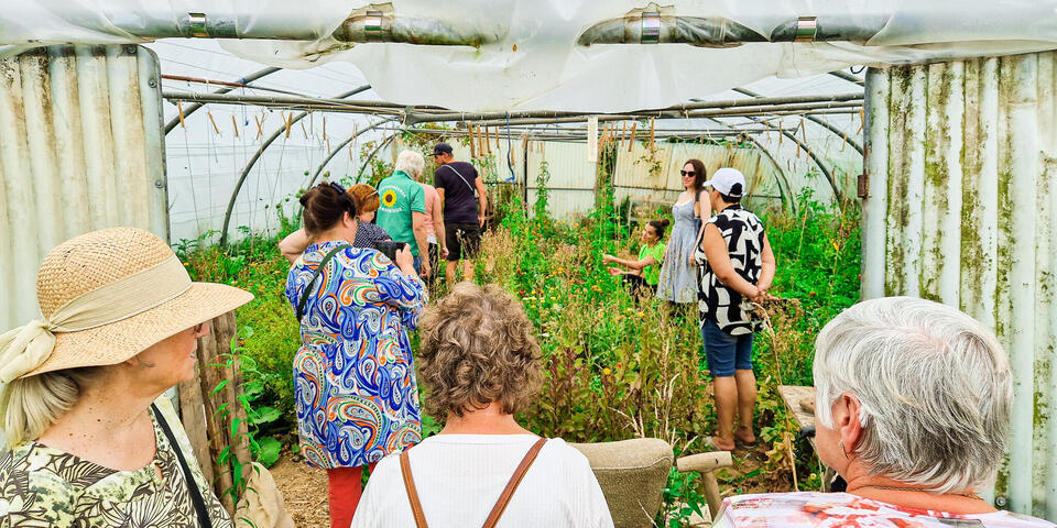 Menschen in einem Gewächsgarten