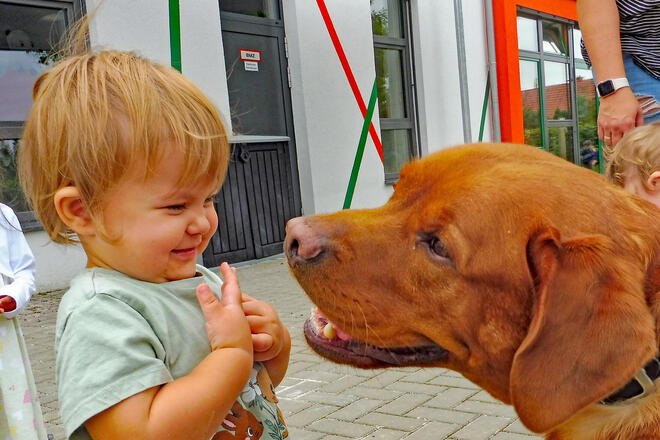 Ein Kind und ein Hund