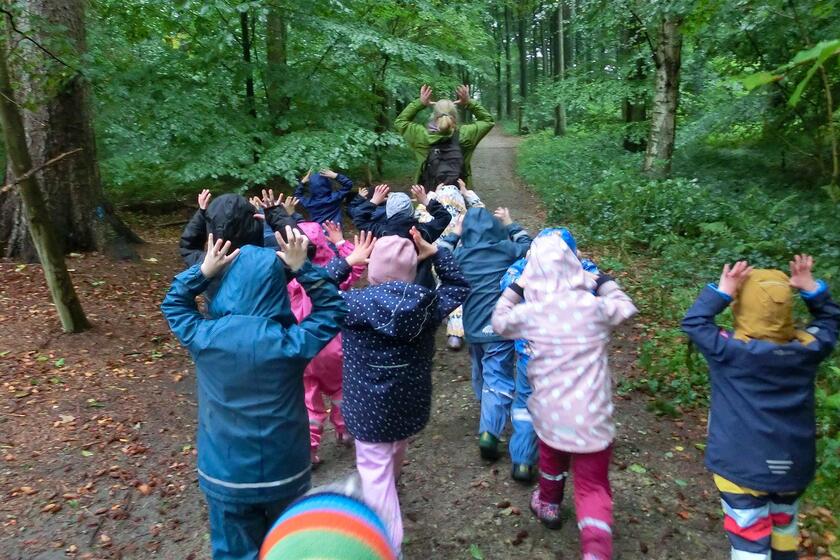 Die Kinder der Johanniter-Kita Gänseblümchen entdecken beim Ausflug in Grabau den Wald.