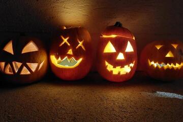 Eins, zwei, drei, vier - Jack O'Lantern ist hier. Vier selbstgeschnitzte Kürbisse verschönern die Dienstststelle