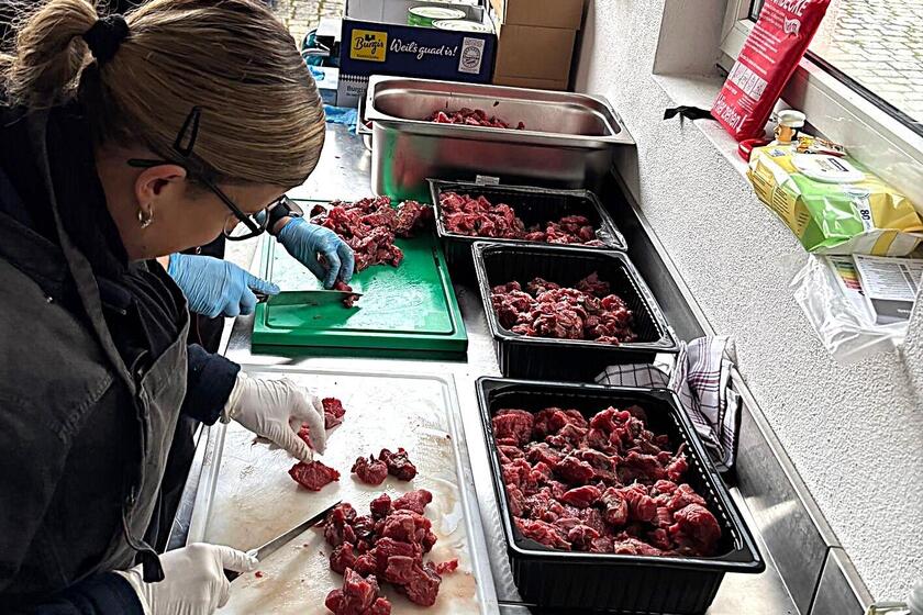 Zwei angehende Feldköchinnen schneiden mit Handschuhen rohes Fleisch auf Schneidebrettern in einer mobilen Küche. Im Hintergrund sind weitere Mitglieder der Johanniter im Einsatz sowie ein Johanniter-Einsatzfahrzeug und Küchenzubehör zu sehen.