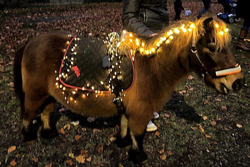 Ein mit Lichterketten geschmücktes Pony