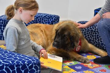 ein Mädchen liest einem Lesehund vor
