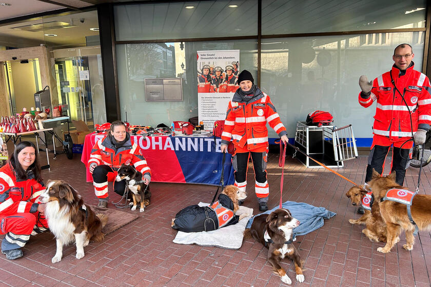 Drei Johanniterinnen und ein Johanniter mit fünf Hunden auf einem Weihnachtsmarkt