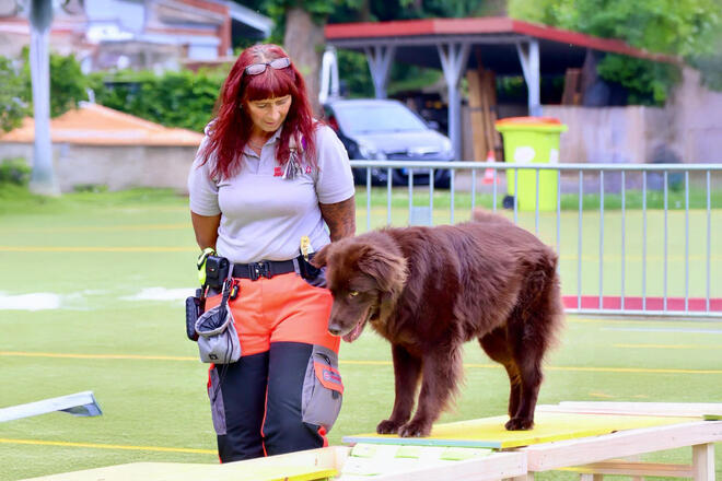 Eine Johanniterin mit Hund, der über einen Balken läuft