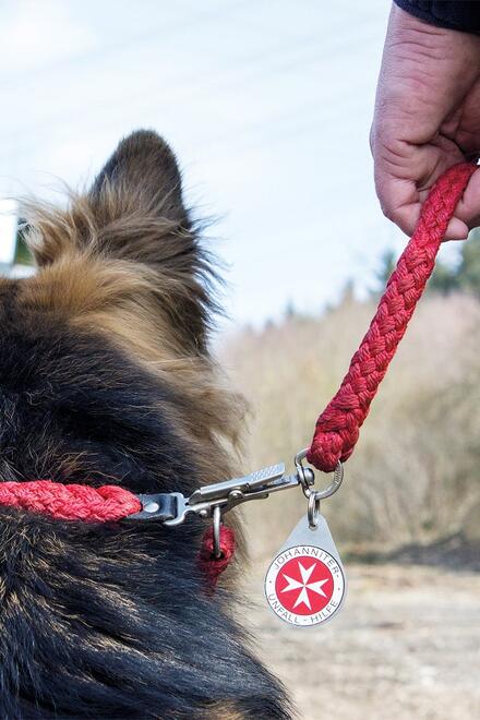 Die Johanniter Rettungshundestaffel im Einsatz.