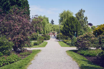 Verschiedene Wege im gepflegten angelegten Garten in Uetersen im Johanniter-Stift am Rosarium.