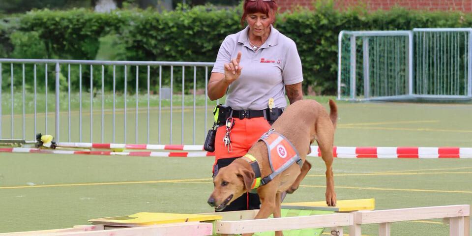 Eine Johanniterin mit Hund, der über einen Balken läuft.