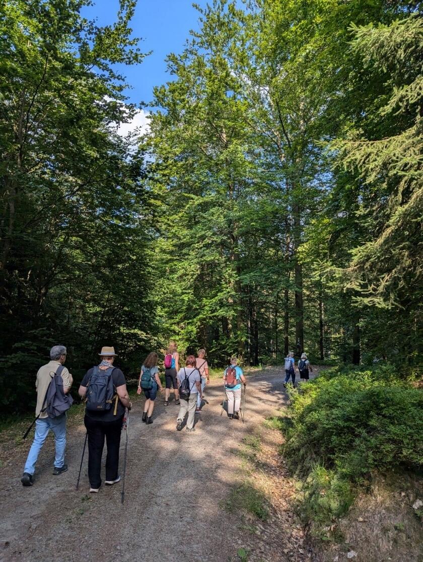 Gruppe von Wandernden auf einem Wanderweg in der Natur