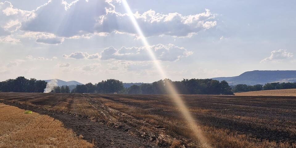 250 Hektar sind beim Vegetationsbrand den Flammen zum Opfer gefallen.