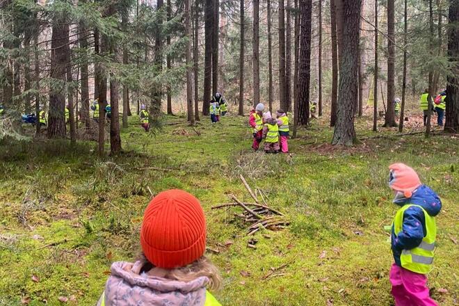 Viele Kindergartenkinder laufen im Wald umher und verteilen Futter für die Waldtiere