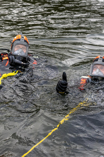 Zwei Taucher befinden sich im Wasser, einer von beiden macht eine Daumen-hoch-Geste.