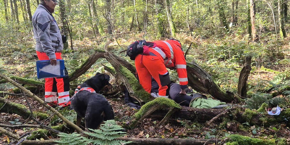 Eine Johanniterin mit Hund hat eine Person im Unterholz gefunden. Eine weitere Johanniterin beobachtet dies,