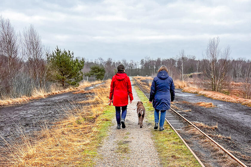 Trauerspaziergang Ambulanter Hospizdienst Elmshorn/Quickborn Zwei Menschen spazieren durch eine Landschaft mit einem Hund.