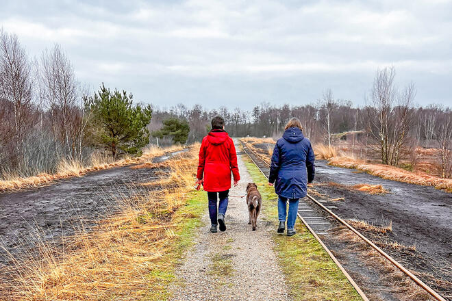 Zwei Menschen spazieren durch eine Landschaft mit einem Hund.