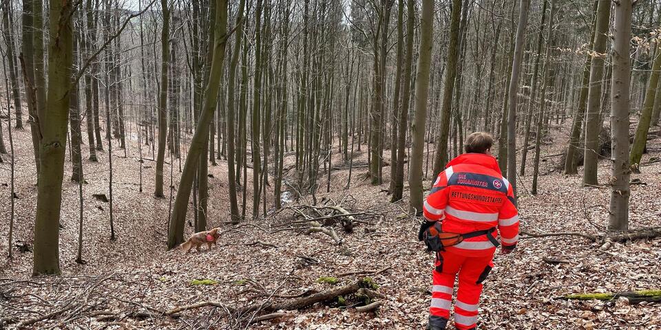 Hund und Hundeführerin stehen im Wald