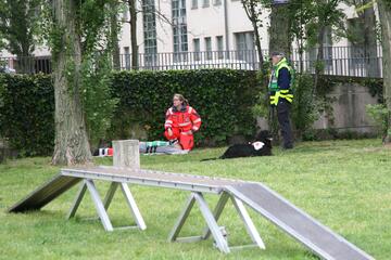 Ehrenamt: Hundestaffel Übung