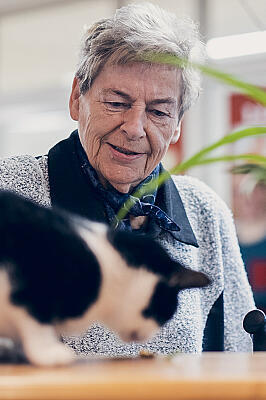 Eine Seniorin beobachtet eine schwarz-weiße Katze