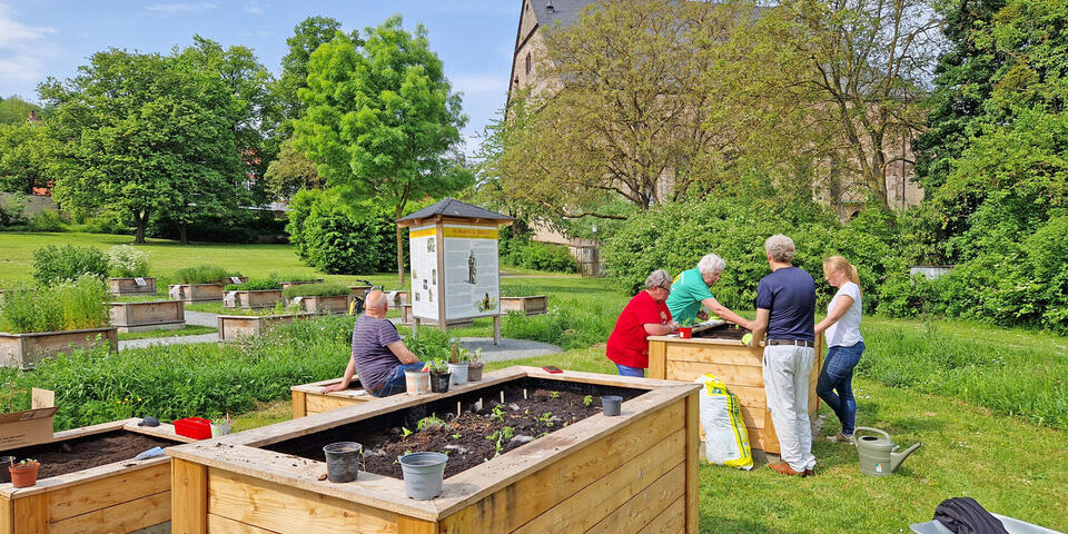 Menschen bepflanzen Hochbeete in einem Park