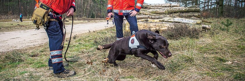 Wenn Menschen vermisst werden kommt die Johanniter Rettungshundestaffel Schleswig zum Einsatz.