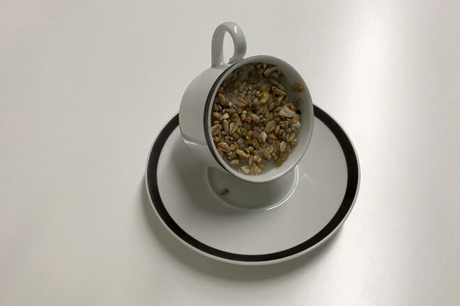 Kleine Tasse leicht gekippt auf einem Unterteller stehend mit einer Mischung aus Wildvogelfutter und Kokosfett.