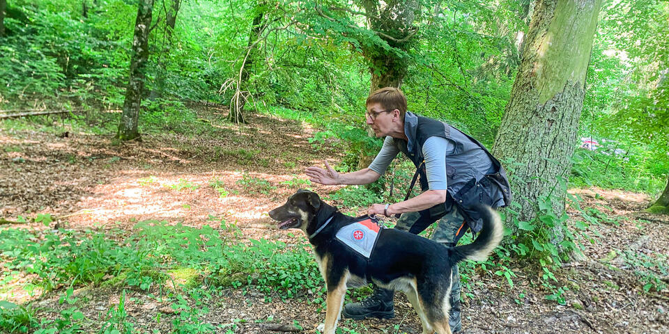 Eine Frau weist im Wald ihrem Hund die Richtung