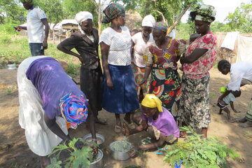 Frauen bereiten in Töpfen verschiedene Gemüse und Kräuter vor