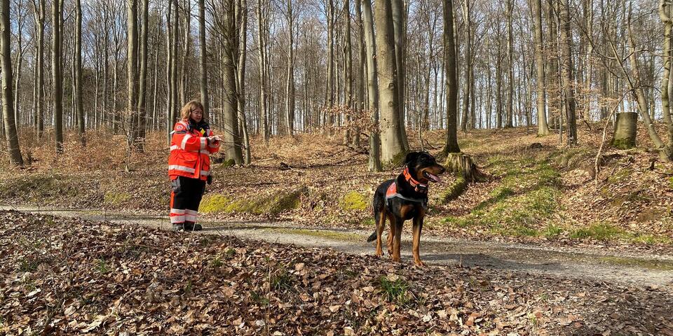 Hund und Hundeführerin stehen auf einem Waldweg