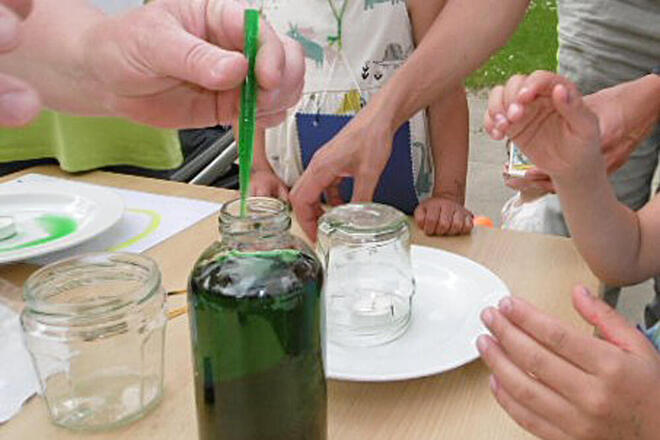 In eine gefüllte Wasserflasche  wird grüne Lebensmittelfarbe gegeben