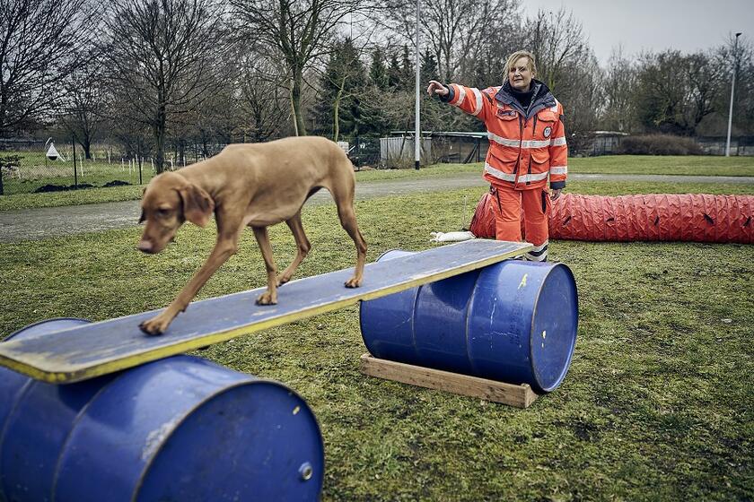 Eine Ehrenamtliche der Johanniter-Rettungshundestaffel trainiert mit ihrem Hund.