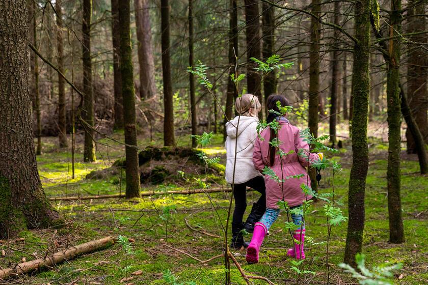 Zwei Mädchen gehen Hand in Hand durch einen Wald.