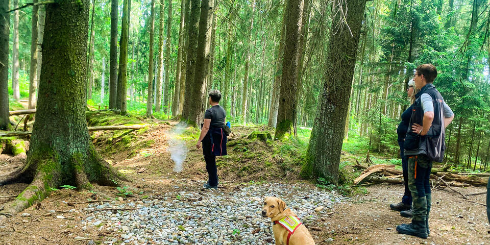 zwei Menschen und ein Hund im Wald