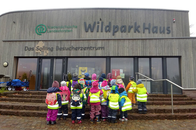 Man sieht die Kindergartengruppe von hinten, während sie auf den Eingang zum Wildpark schauen.