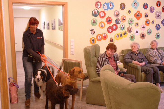 Seniorinnen sitzen auf dem Sofa und schauen zu den drei Hunden, die gemeinsam mit ihrer Hundeführerin zu Tür reinkommenen. 