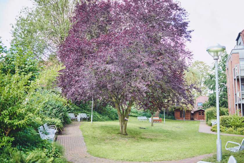 Großer Baum im Garten des Johanniter-Stift Dortmund