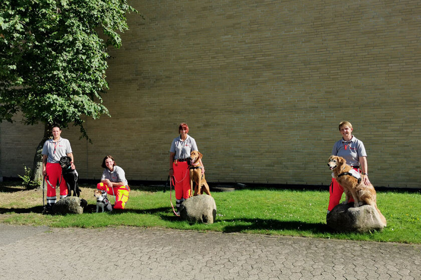 Rettungshundeteams der Johanniter-Rettungshundestaffel Südniedersachsen, die an diesem Tag ihre Prüfung bestanden haben. 