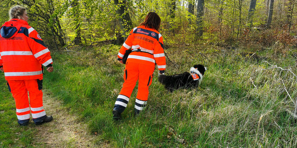 Zwei Mitglieder der Rettungshundestaffel mit Hund auf der Suche