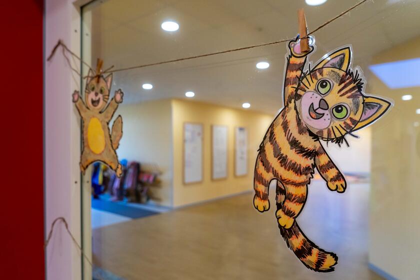 Katzenbilder hängen an einer Glastür. Im Hintergrund ist der Eingangsbereich der Kita zu sehen.