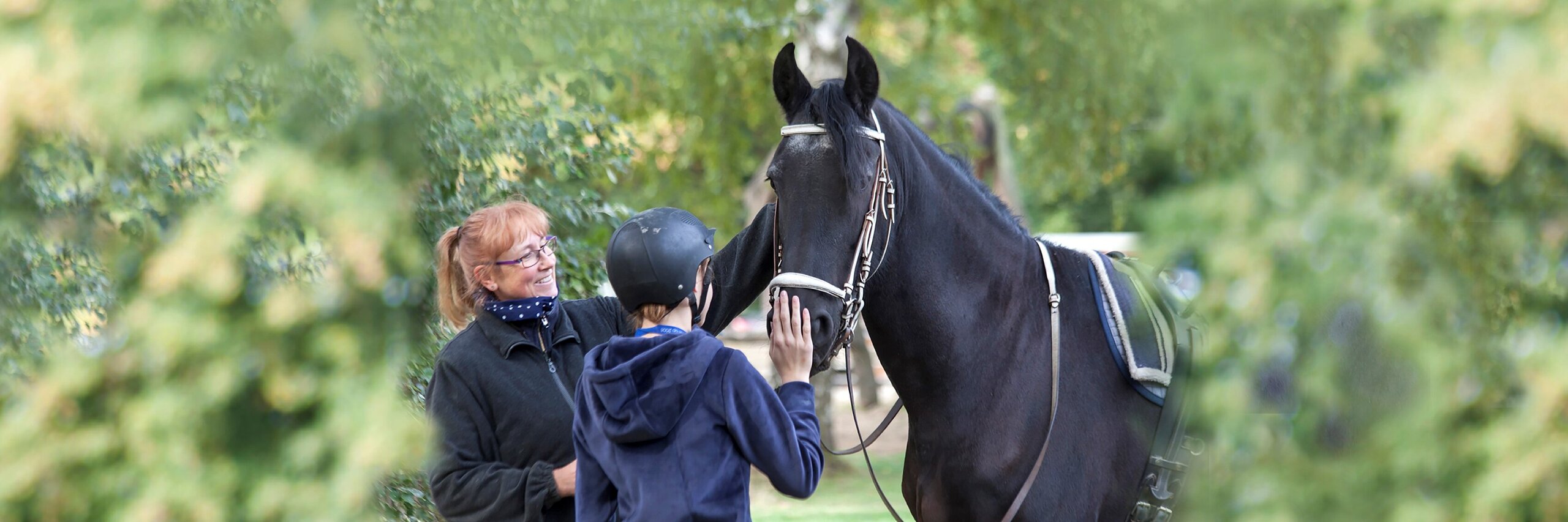 Begegnung und Berührung von Pferden als Therapie