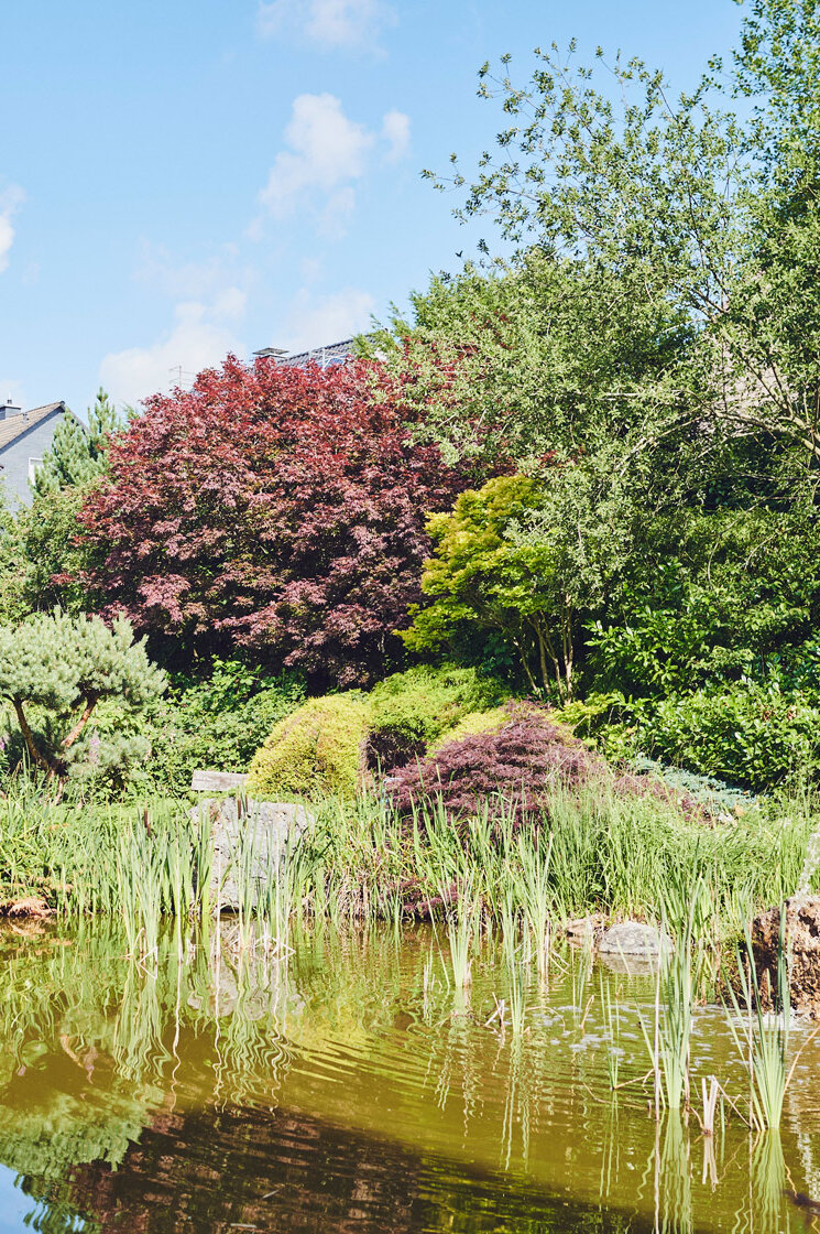 Eine Baumgruppe spiegelt sich im Gartenteich mit kleinem Springbrunnen